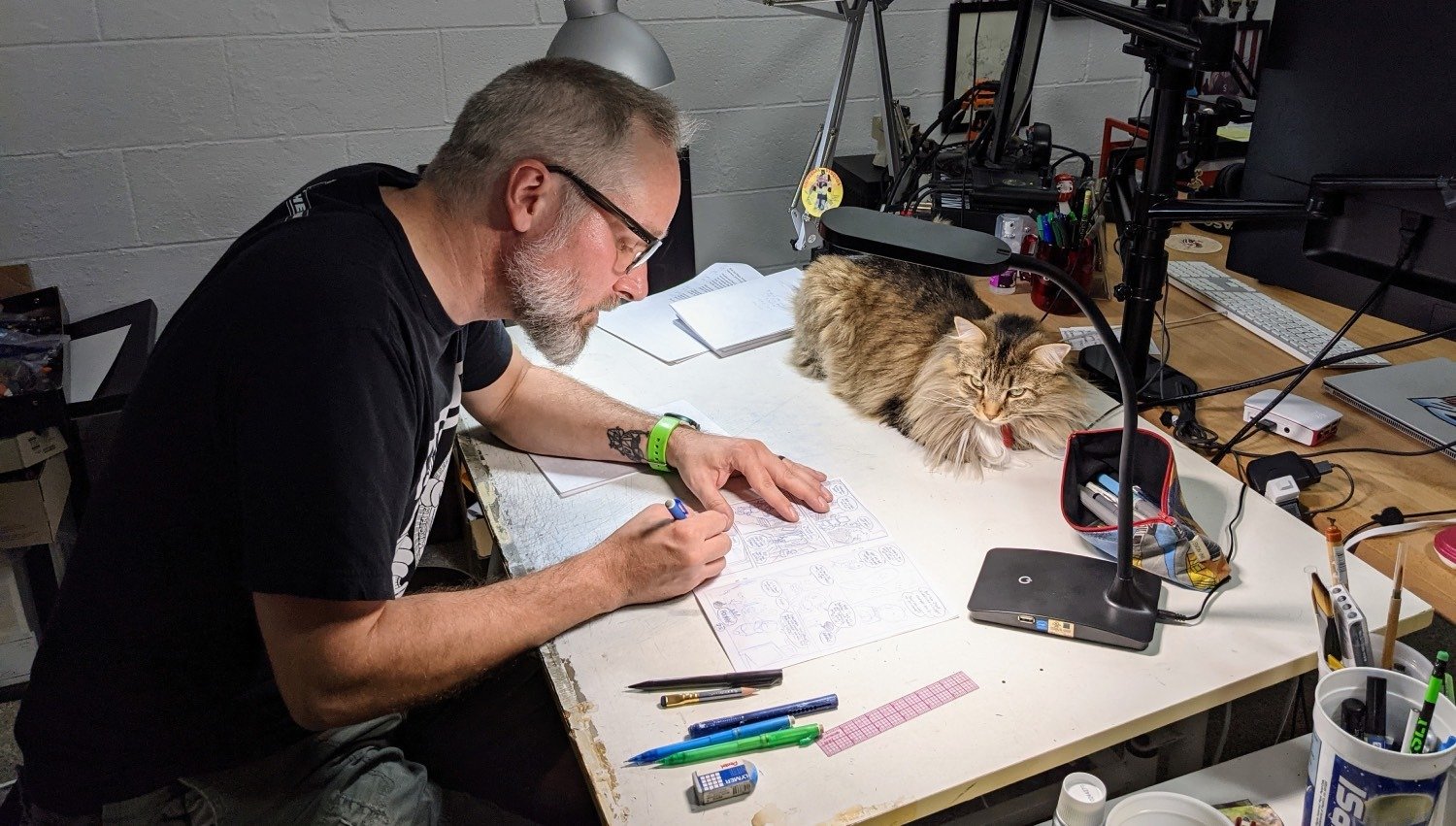 TPD 335 – Gratitude